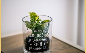 Le Scandin' Arve I T2 I Cluses